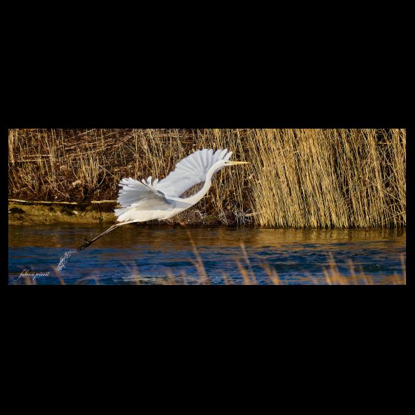 PHOTO84, CLUB, 84 , LUBERON